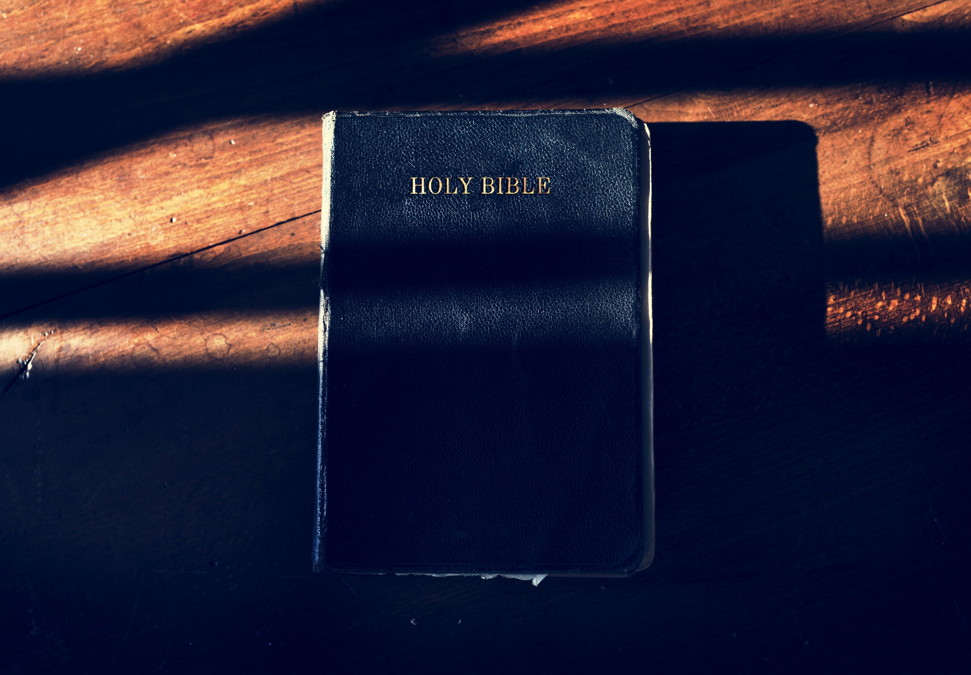 K-p-199-teddy-0133wf