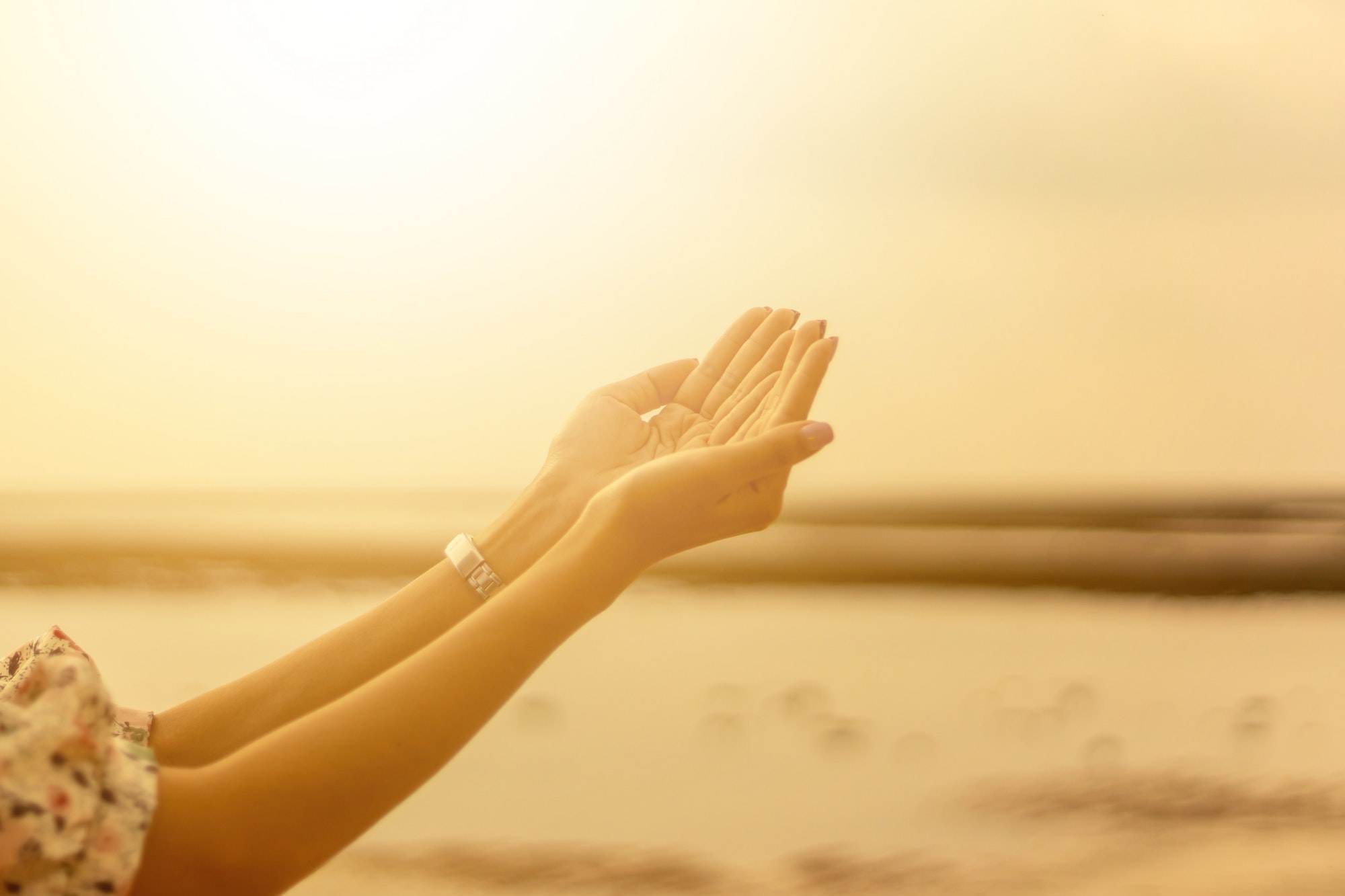 Young woman praying Hands at sunset